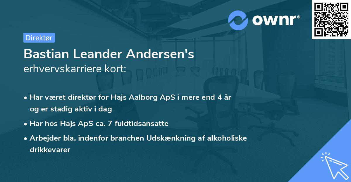 Bastian Leander Andersen's erhvervskarriere kort