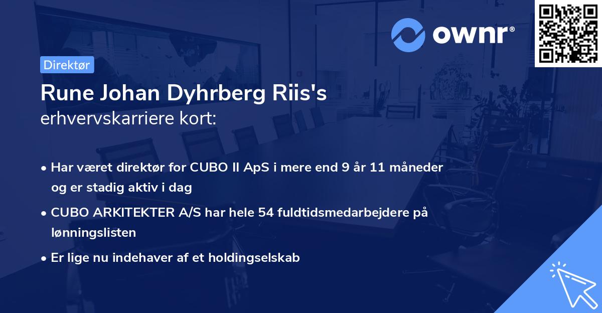 Rune Johan Dyhrberg Riis's erhvervskarriere kort