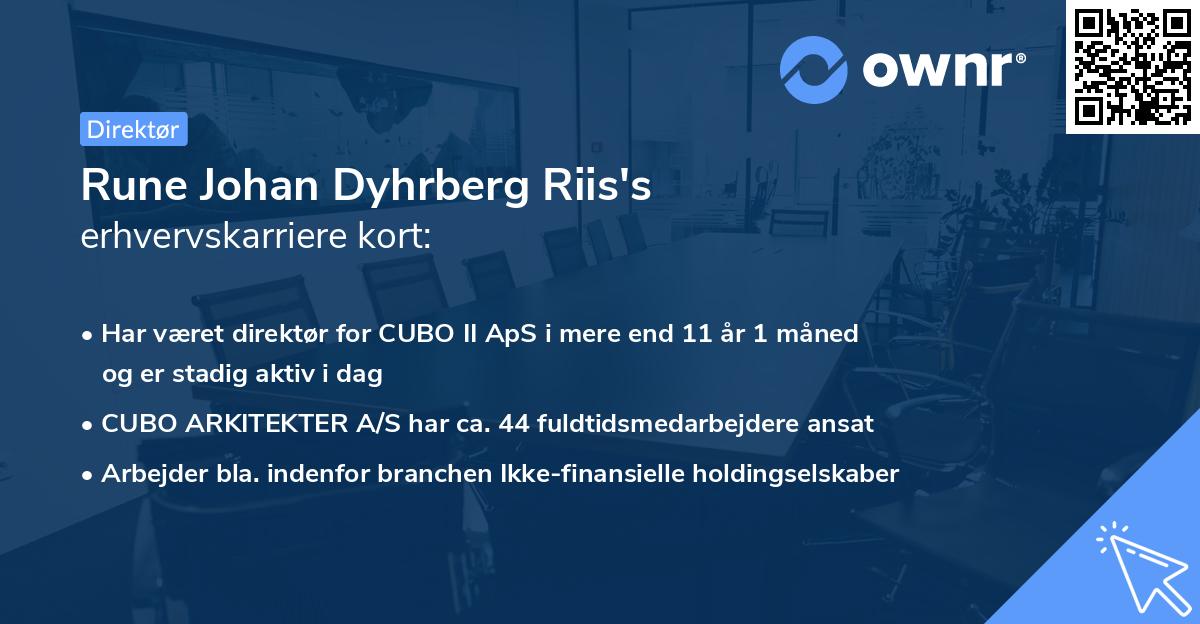Rune Johan Dyhrberg Riis's erhvervskarriere kort