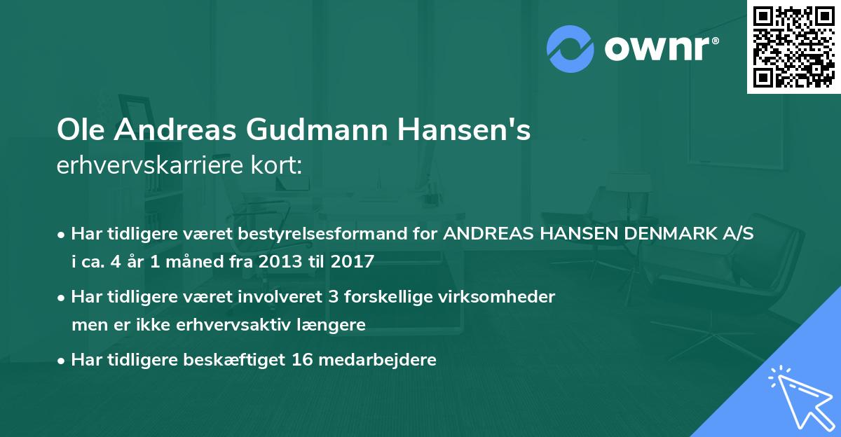 Ole Andreas Gudmann Hansen's erhvervskarriere kort