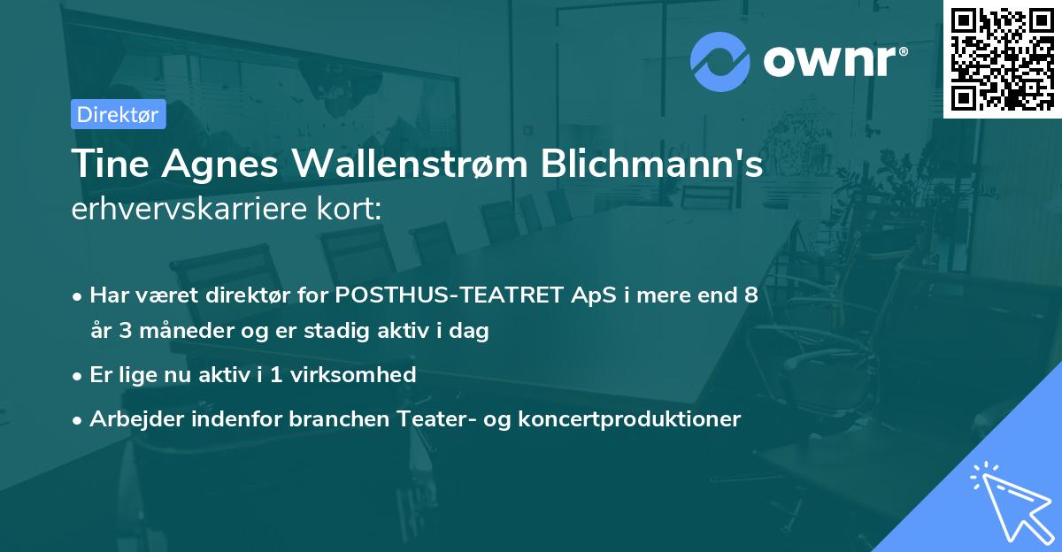 Tine Agnes Wallenstrøm Blichmann's erhvervskarriere kort
