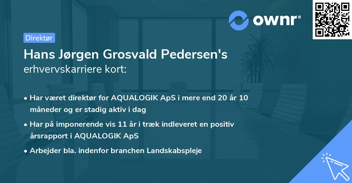 Hans Jørgen Grosvald Pedersen's erhvervskarriere kort