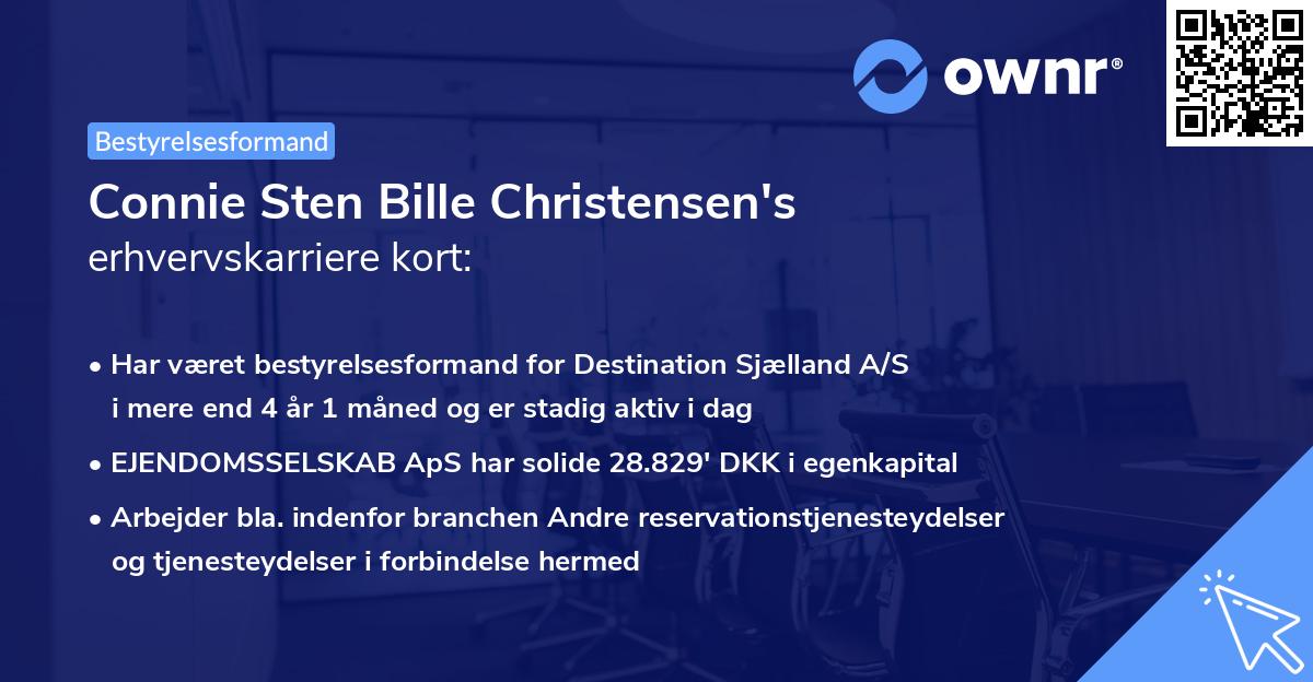 Connie Sten Bille Christensen's erhvervskarriere kort