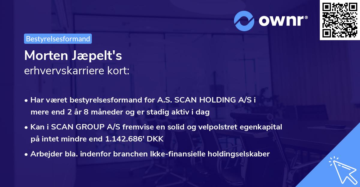 Morten Jæpelt's erhvervskarriere kort