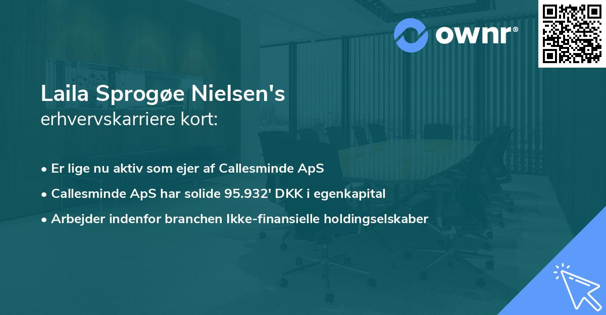 Laila Sprogøe Nielsen's erhvervskarriere kort