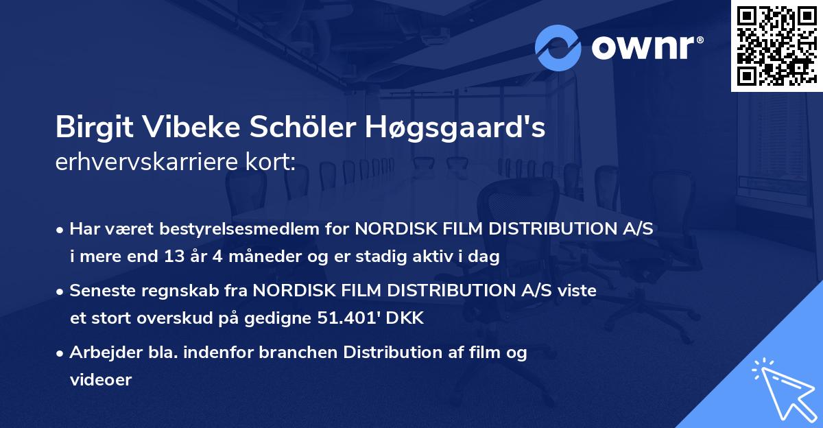 Birgit Vibeke Schöler Høgsgaard's erhvervskarriere kort