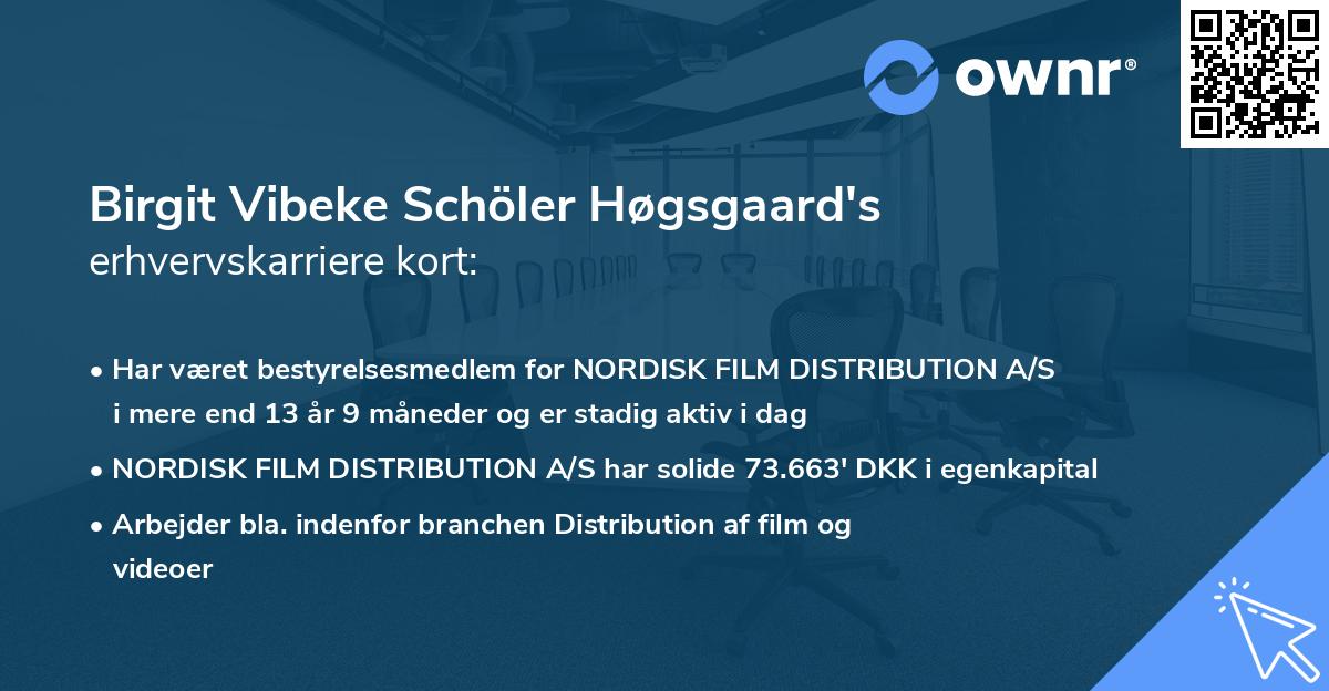 Birgit Vibeke Schöler Høgsgaard's erhvervskarriere kort