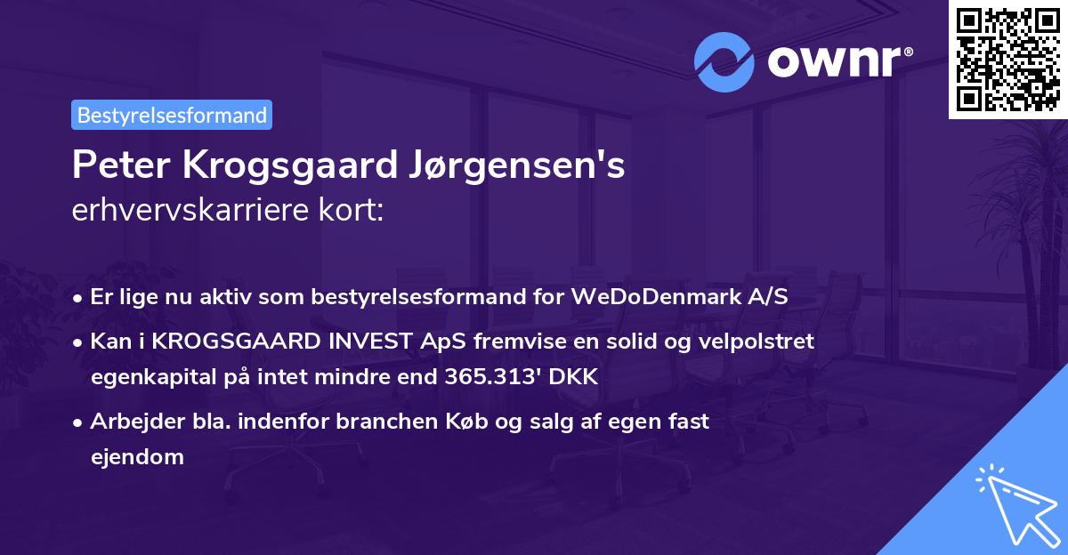 Peter Krogsgaard Jørgensen's erhvervskarriere kort