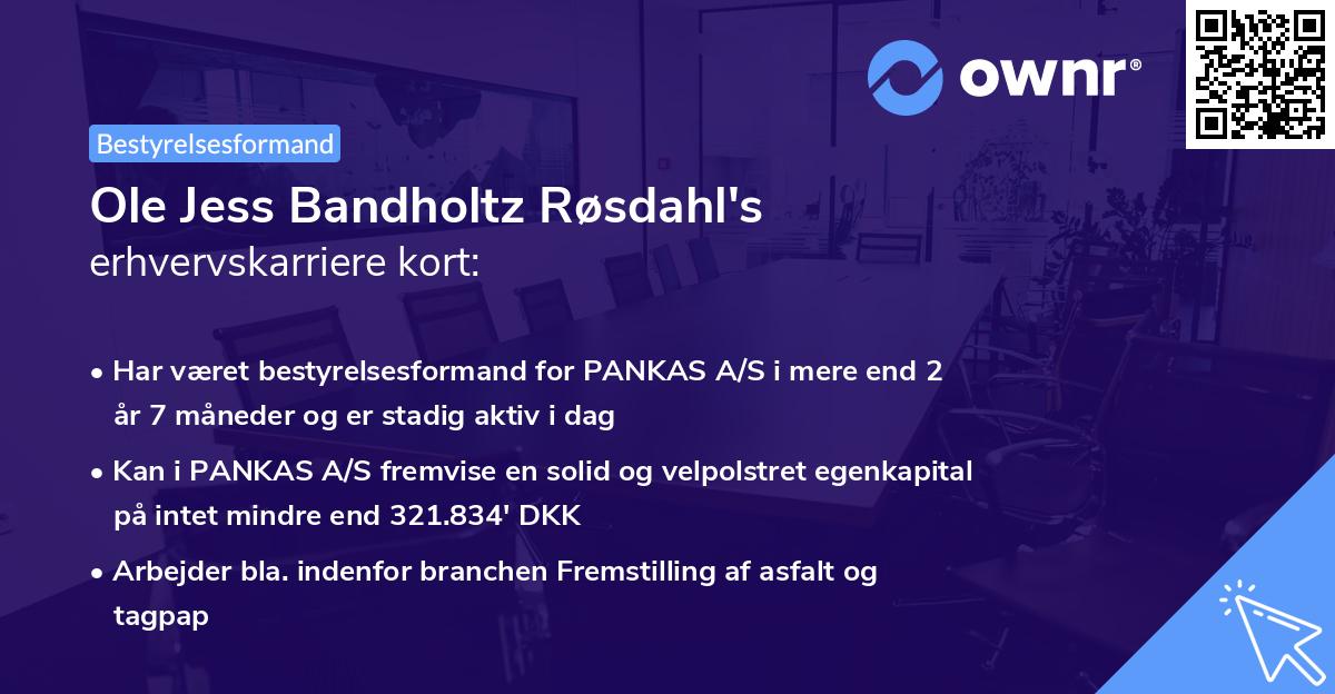 Ole Jess Bandholtz Røsdahl's erhvervskarriere kort