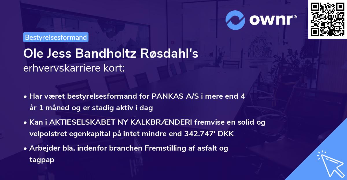 Ole Jess Bandholtz Røsdahl's erhvervskarriere kort