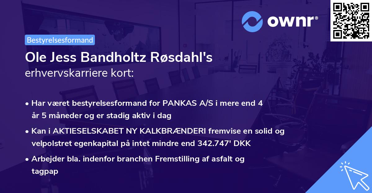 Ole Jess Bandholtz Røsdahl's erhvervskarriere kort