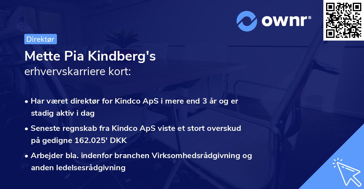 Mette Pia Kindberg's erhvervskarriere kort