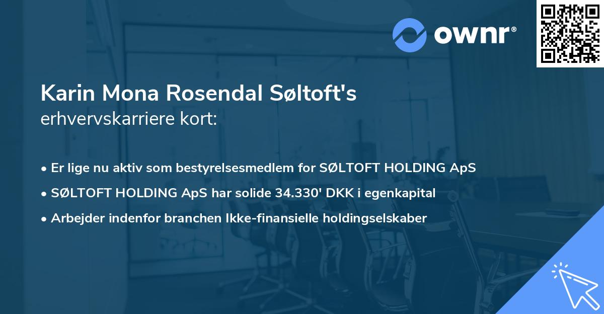 Karin Mona Rosendal Søltoft's erhvervskarriere kort