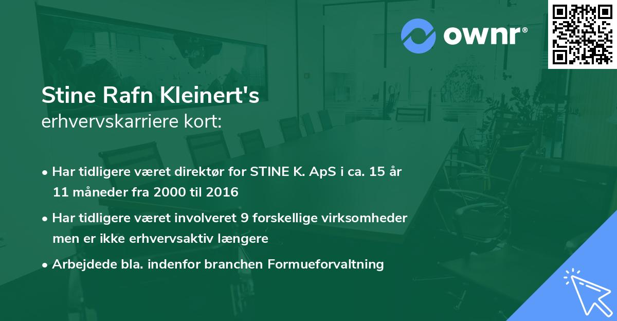 Stine Rafn Kleinert's erhvervskarriere kort