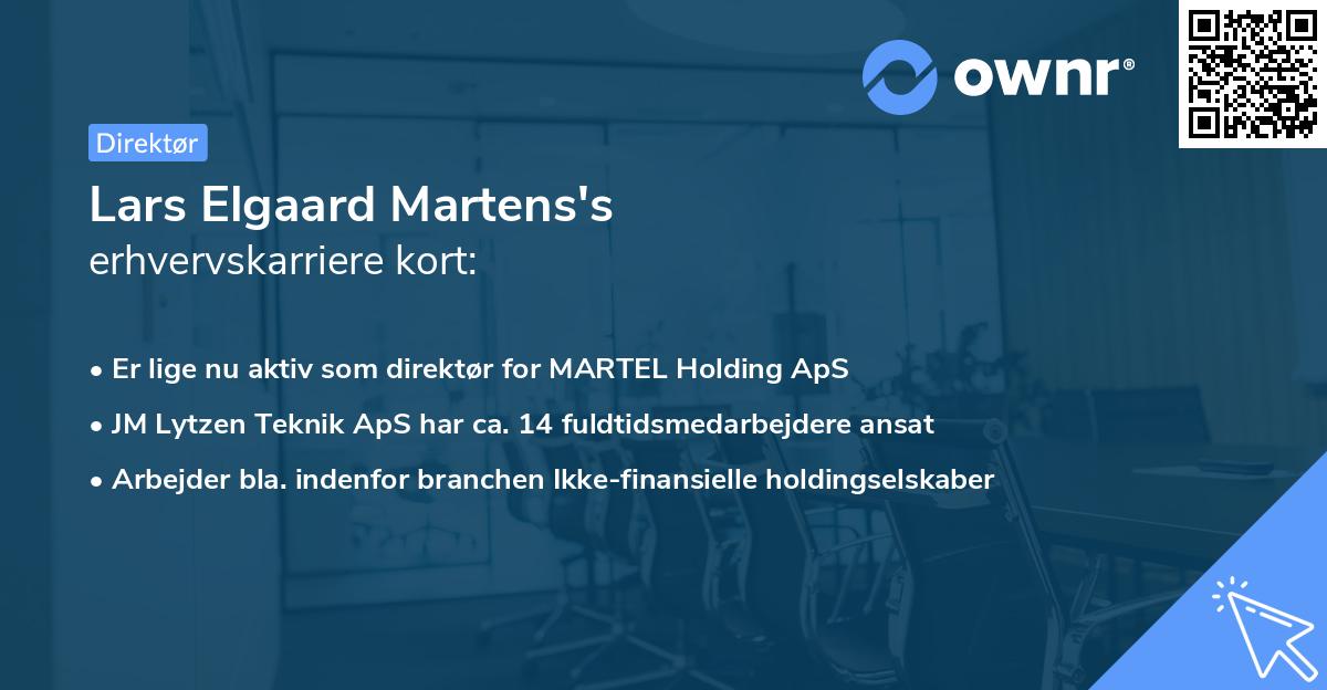 Lars Elgaard Martens's erhvervskarriere kort