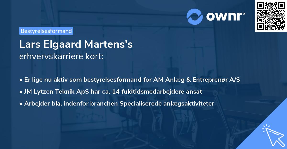 Lars Elgaard Martens's erhvervskarriere kort