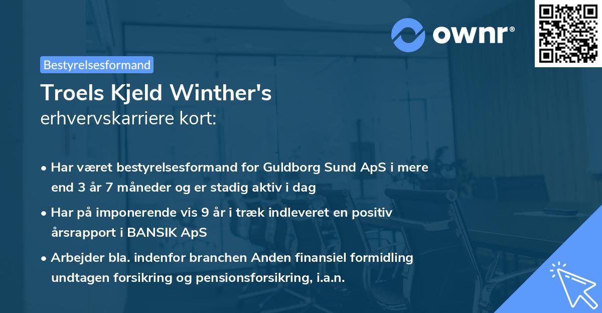 Troels Kjeld Winther's erhvervskarriere kort