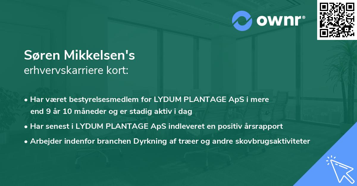 Søren Mikkelsen's erhvervskarriere kort