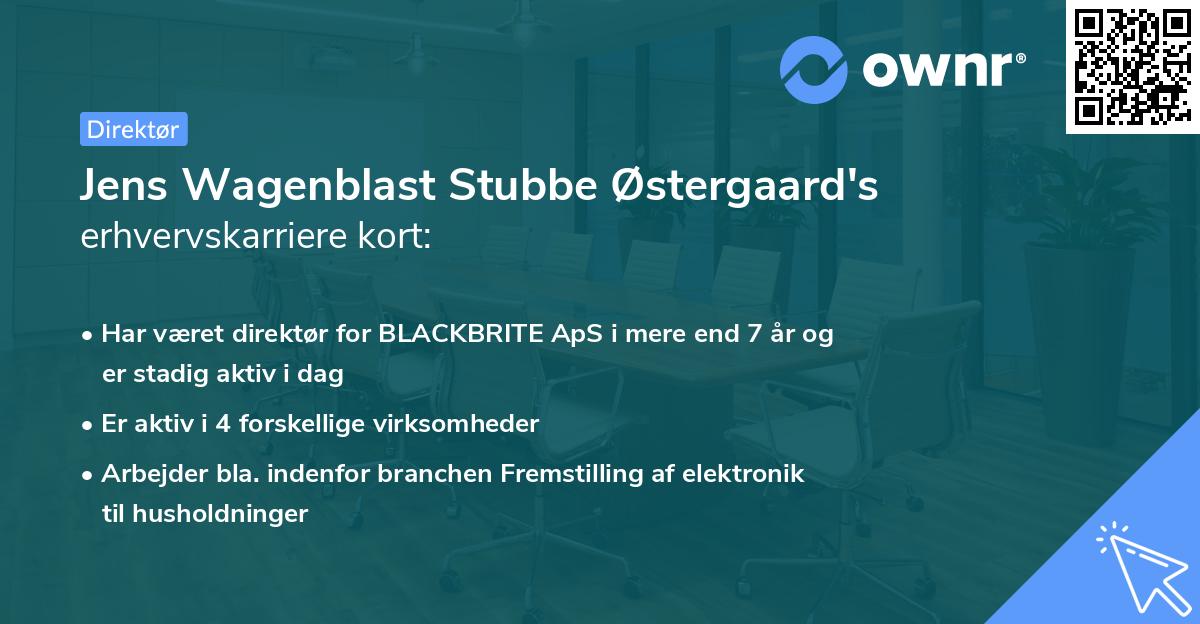 Jens Wagenblast Stubbe Østergaard's erhvervskarriere kort