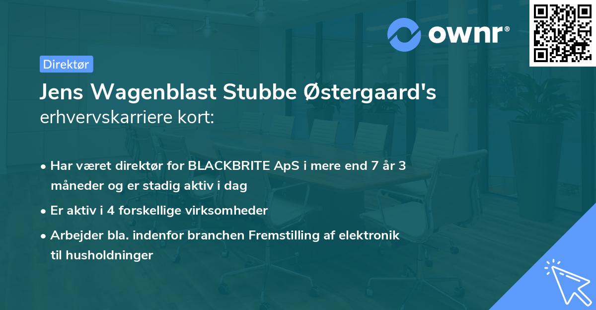 Jens Wagenblast Stubbe Østergaard's erhvervskarriere kort