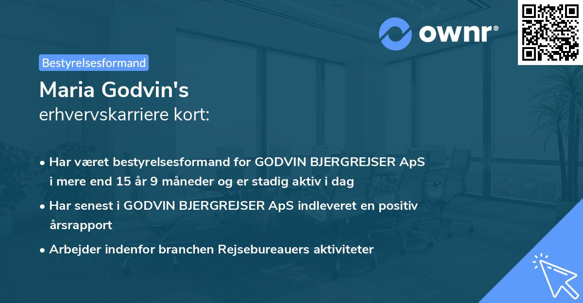 Maria Godvin's erhvervskarriere kort