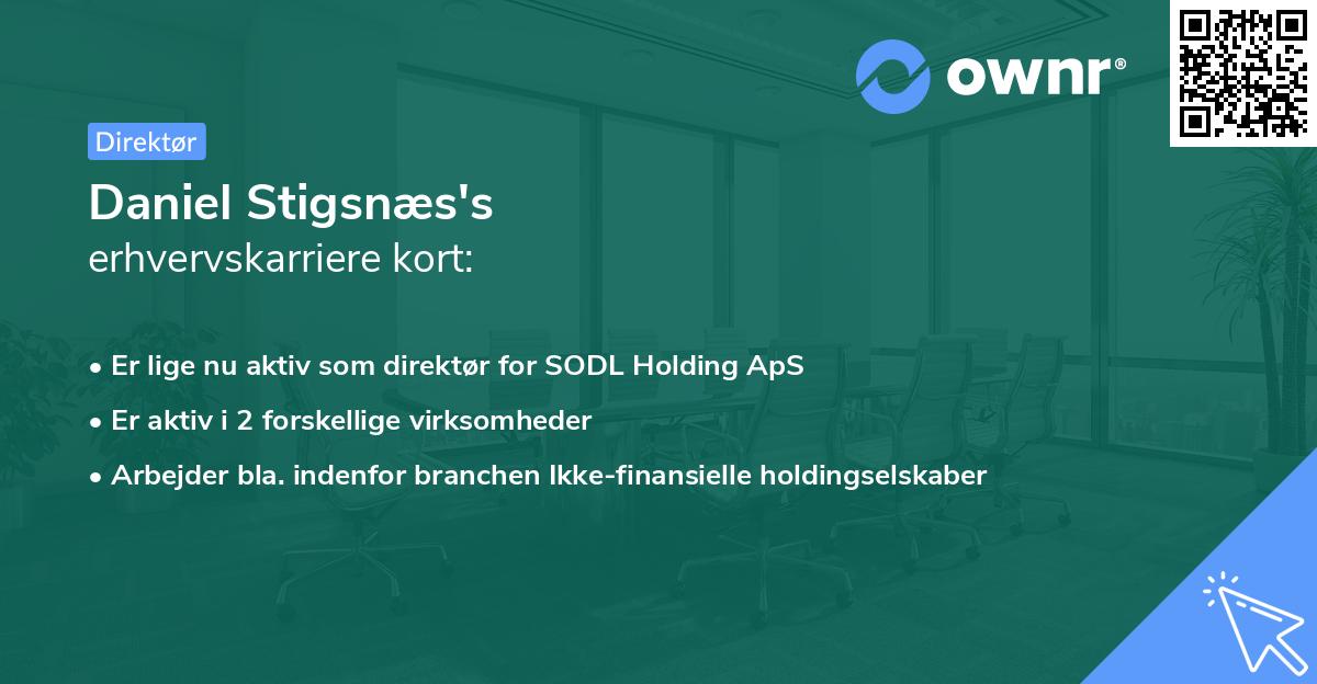 Daniel Stigsnæs's erhvervskarriere kort