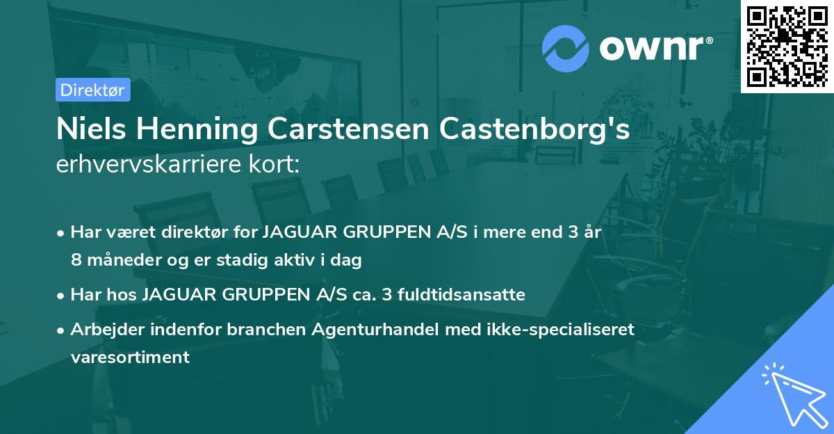 Niels Henning Carstensen Castenborg's erhvervskarriere kort