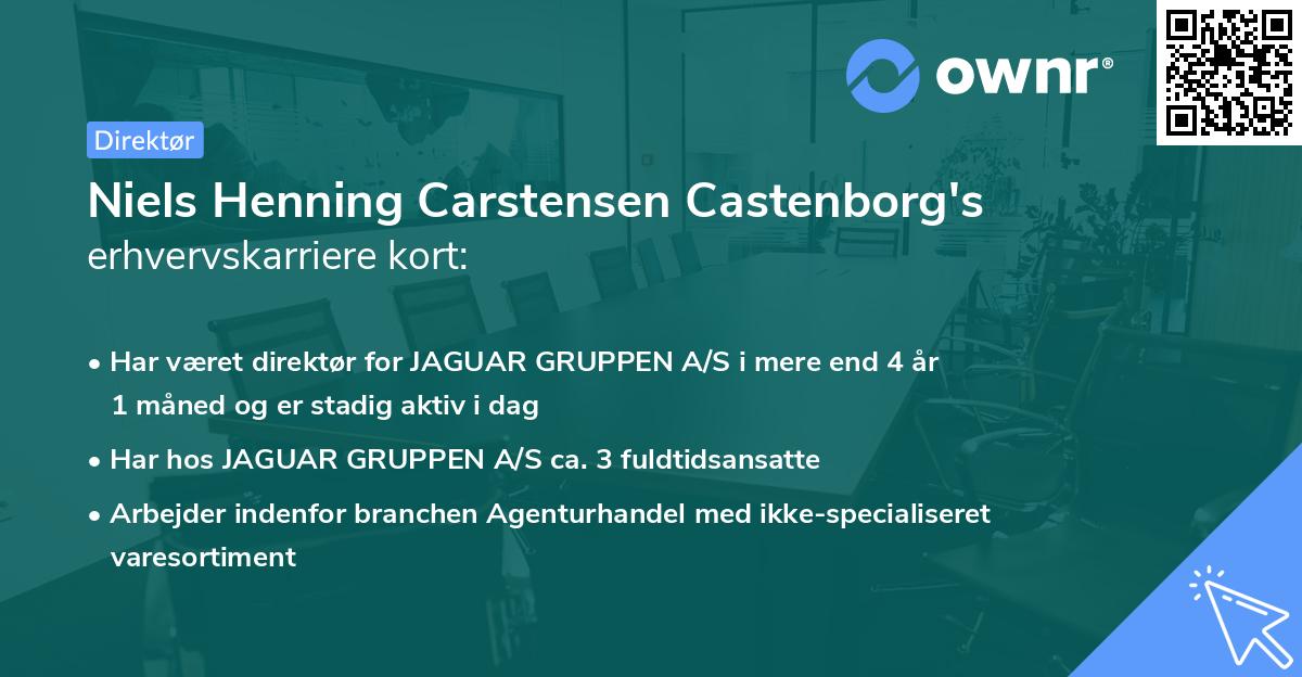 Niels Henning Carstensen Castenborg's erhvervskarriere kort