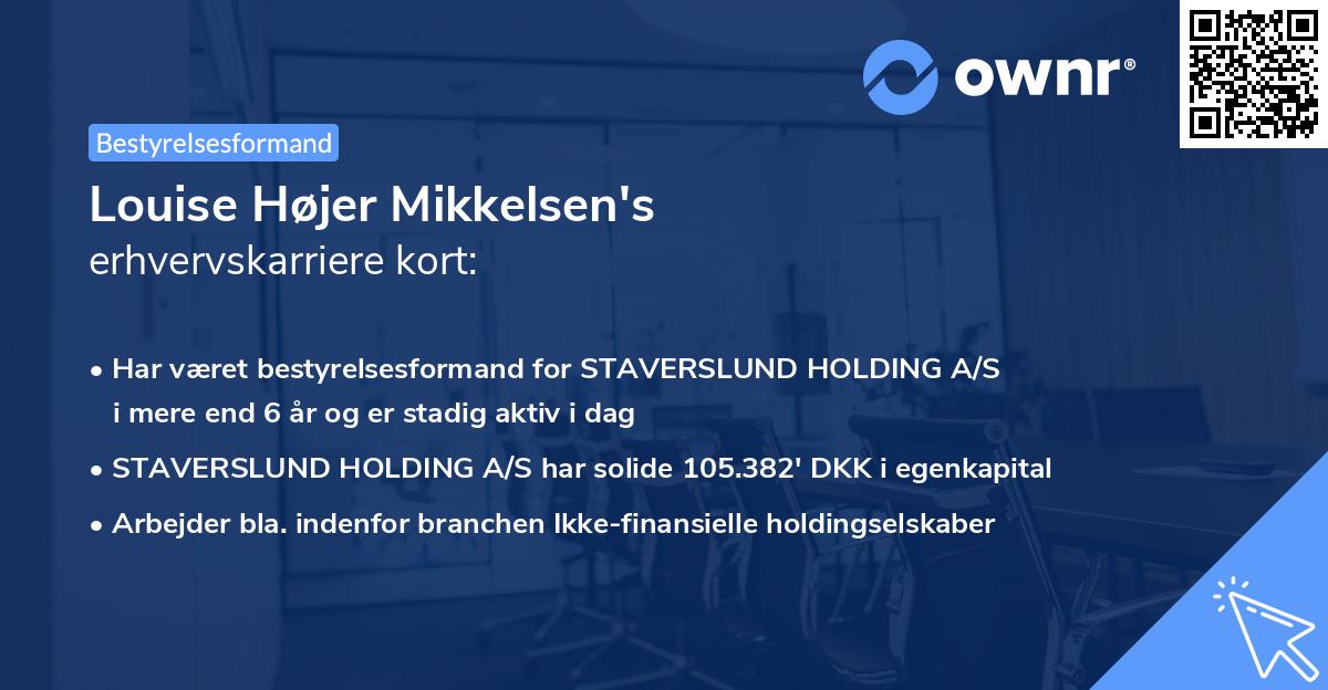Louise Højer Mikkelsen's erhvervskarriere kort