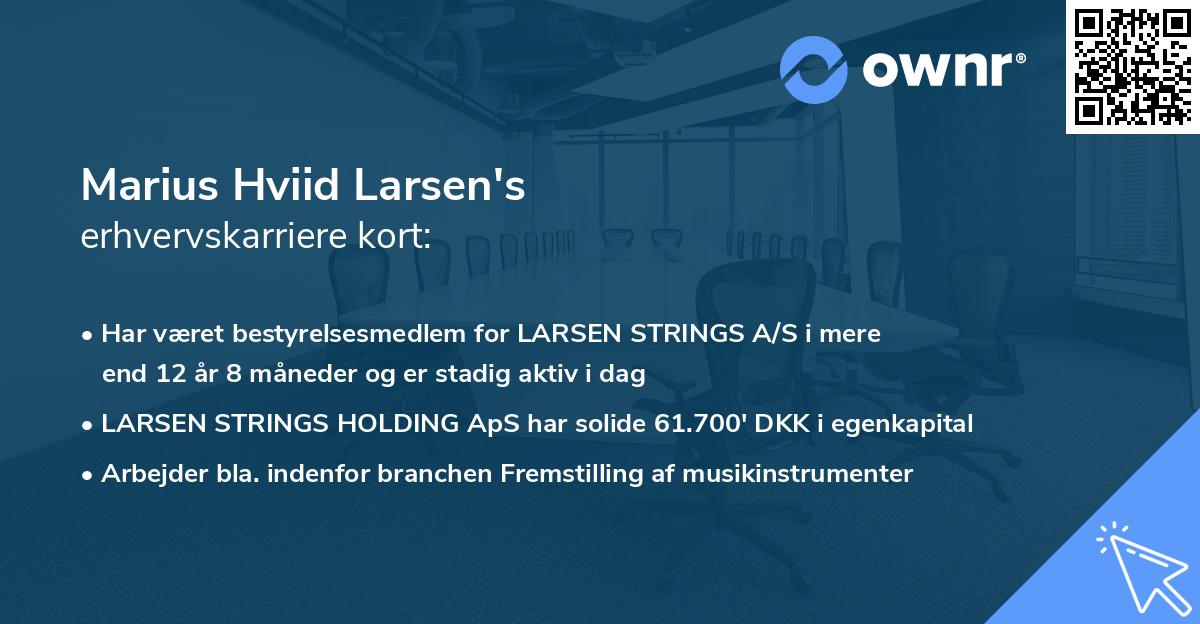 Marius Hviid Larsen's erhvervskarriere kort