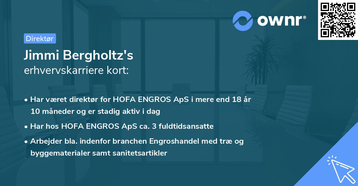 Jimmi Bergholtz's erhvervskarriere kort