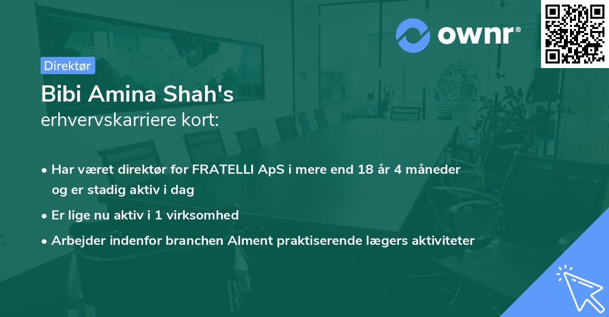 Bibi Amina Shah's erhvervskarriere kort