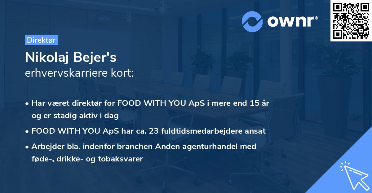 Nikolaj Bejer's erhvervskarriere kort