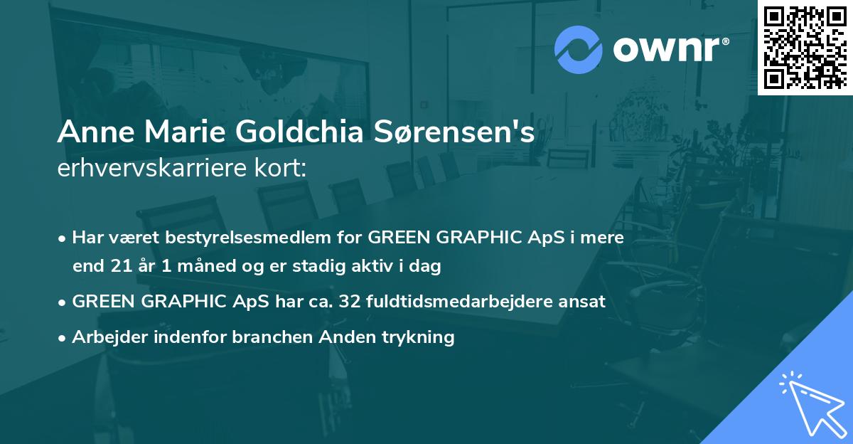 Anne Marie Goldchia Sørensen's erhvervskarriere kort