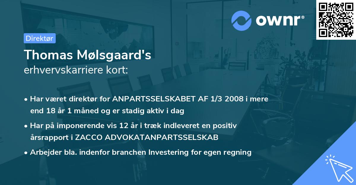 Thomas Mølsgaard's erhvervskarriere kort
