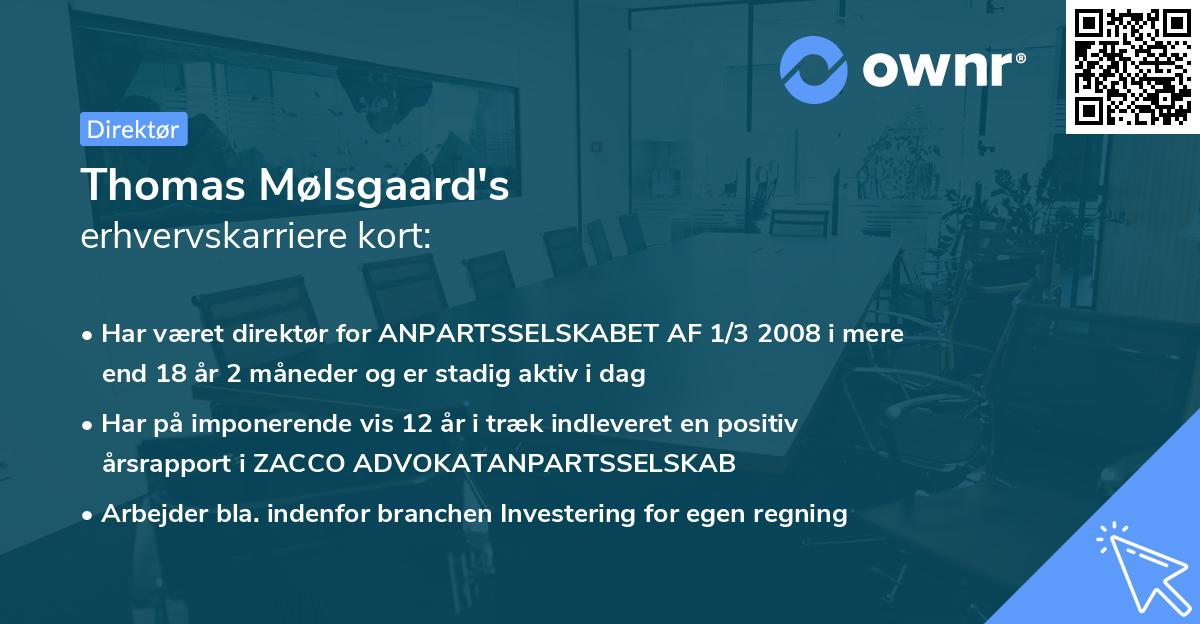 Thomas Mølsgaard's erhvervskarriere kort