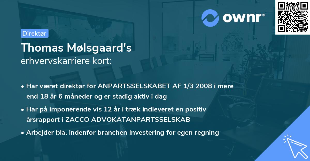 Thomas Mølsgaard's erhvervskarriere kort