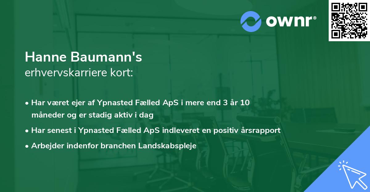 Hanne Baumann's erhvervskarriere kort