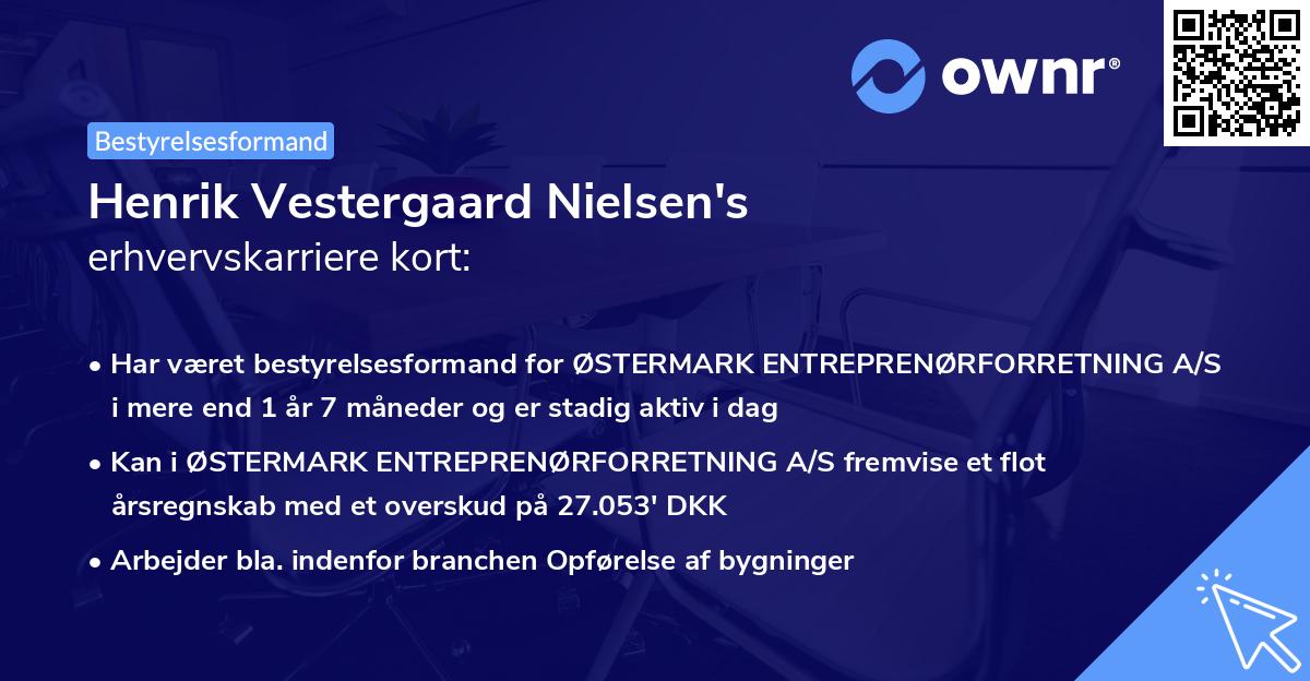 Henrik Vestergaard Nielsen's erhvervskarriere kort
