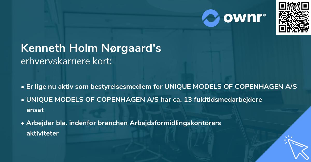 Kenneth Holm Nørgaard's erhvervskarriere kort