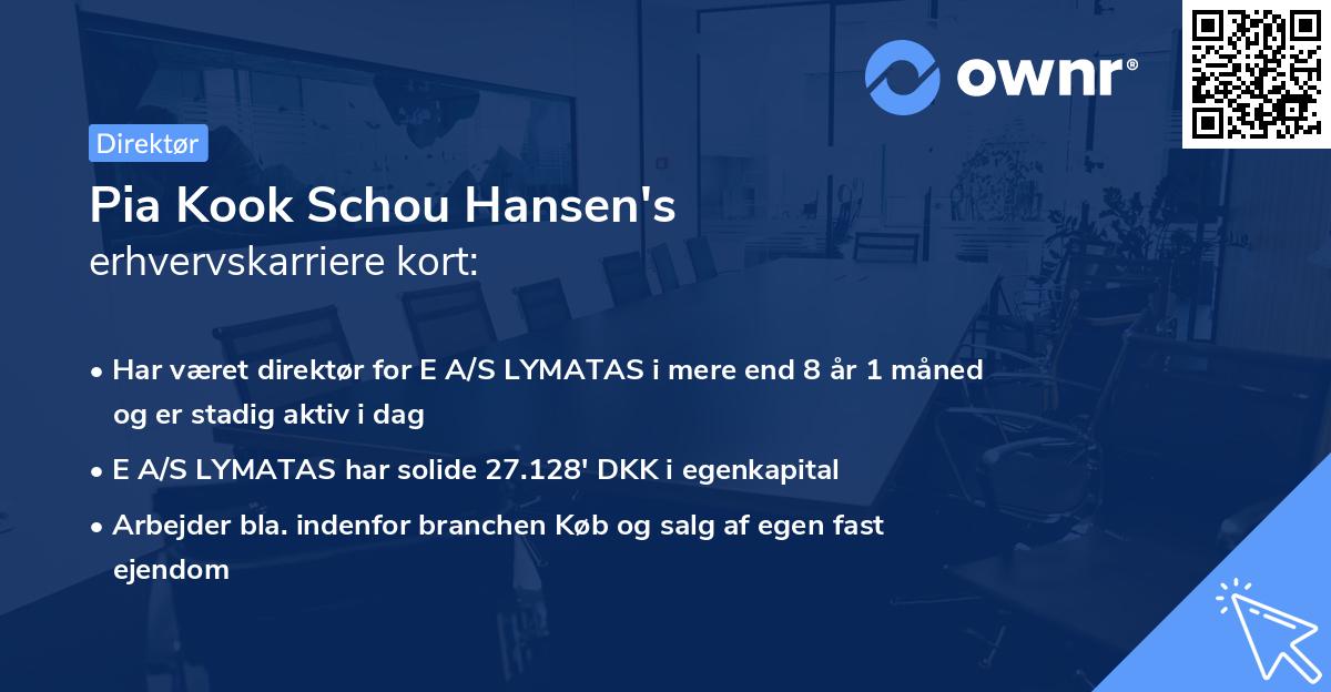 Pia Kook Schou Hansen's erhvervskarriere kort