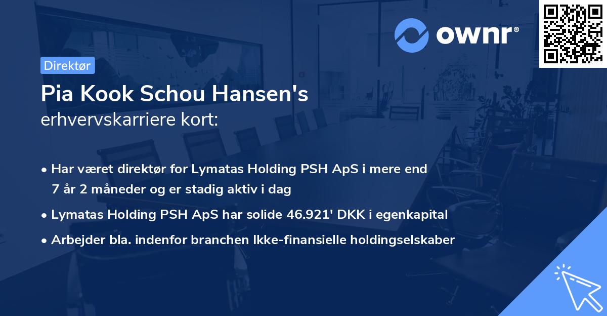 Pia Kook Schou Hansen's erhvervskarriere kort