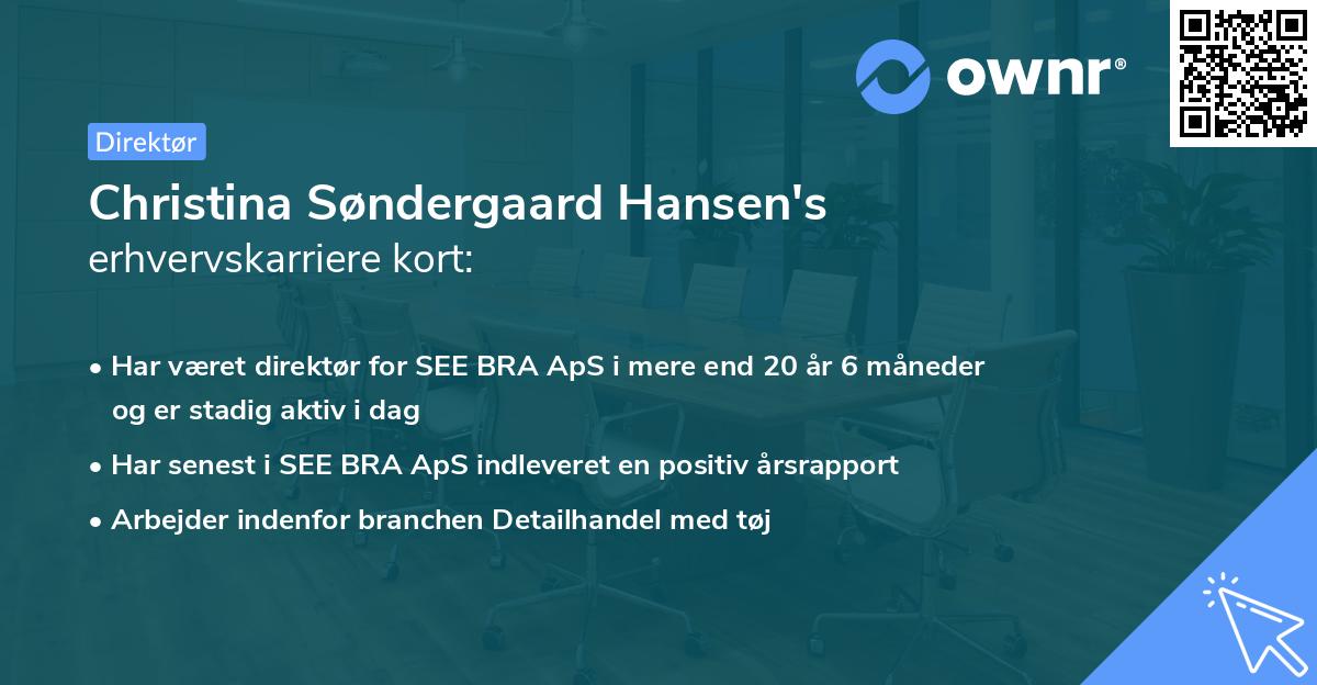 Christina Søndergaard Hansen's erhvervskarriere kort