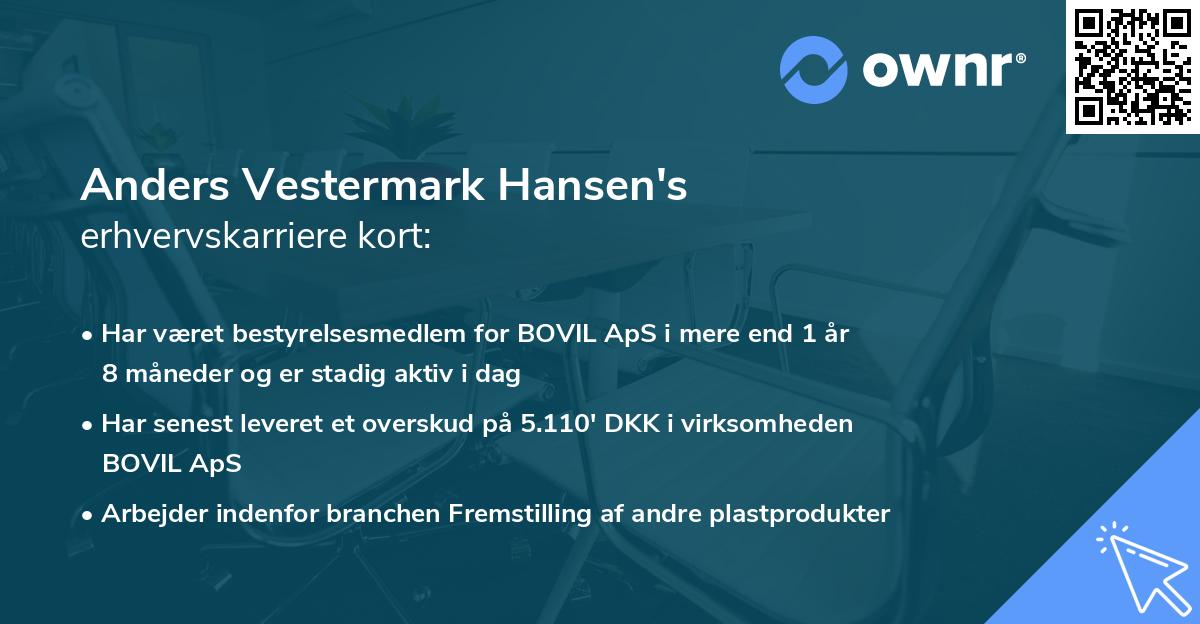 Anders Vestermark Hansen's erhvervskarriere kort
