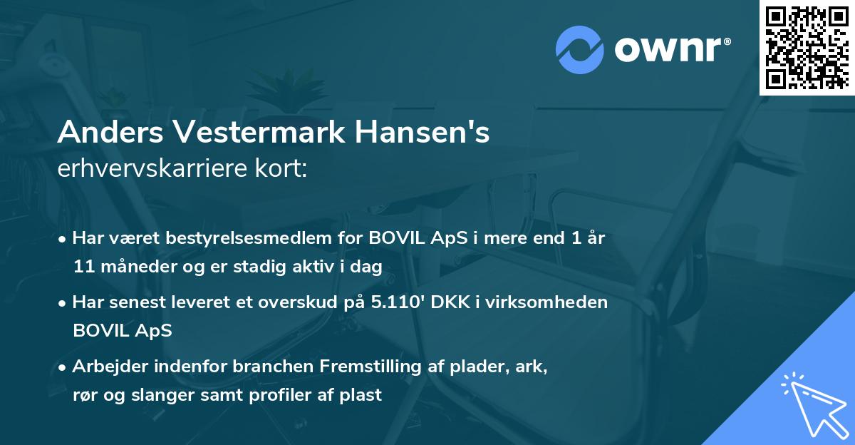 Anders Vestermark Hansen's erhvervskarriere kort