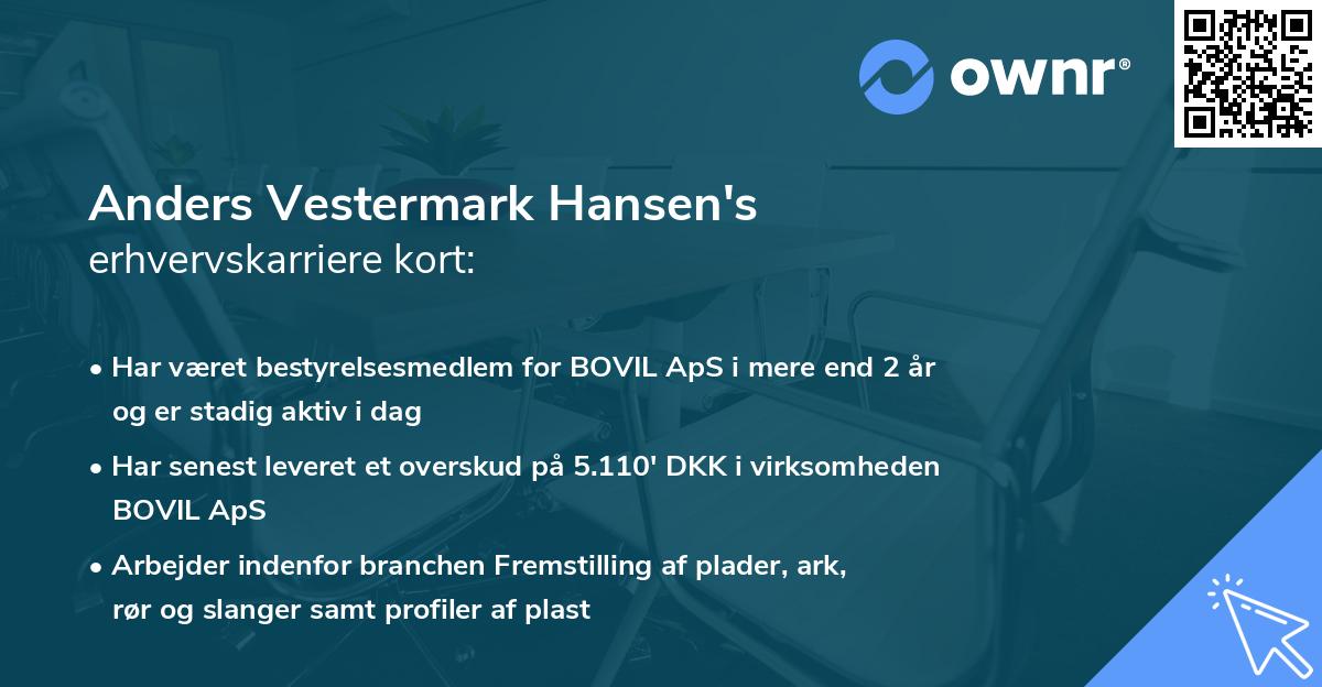 Anders Vestermark Hansen's erhvervskarriere kort