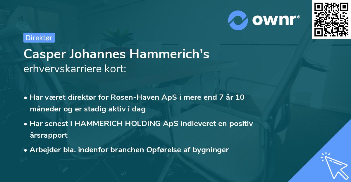 Casper Johannes Hammerich's erhvervskarriere kort