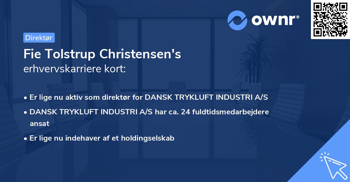 Fie Tolstrup Christensen's erhvervskarriere kort