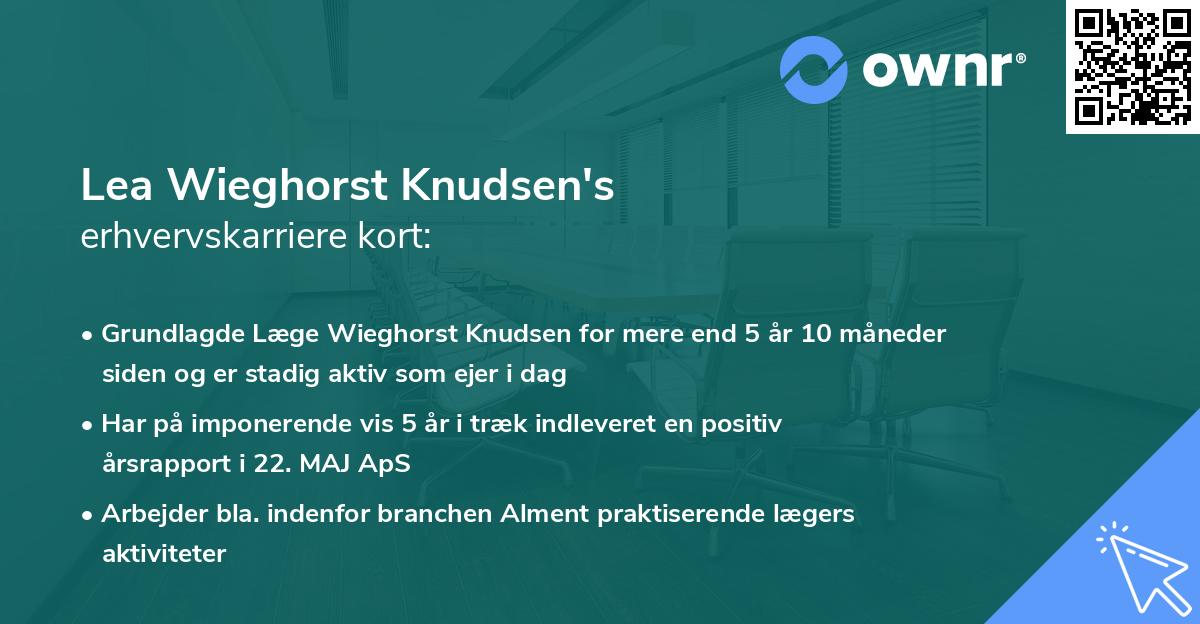 Lea Wieghorst Knudsen's erhvervskarriere kort
