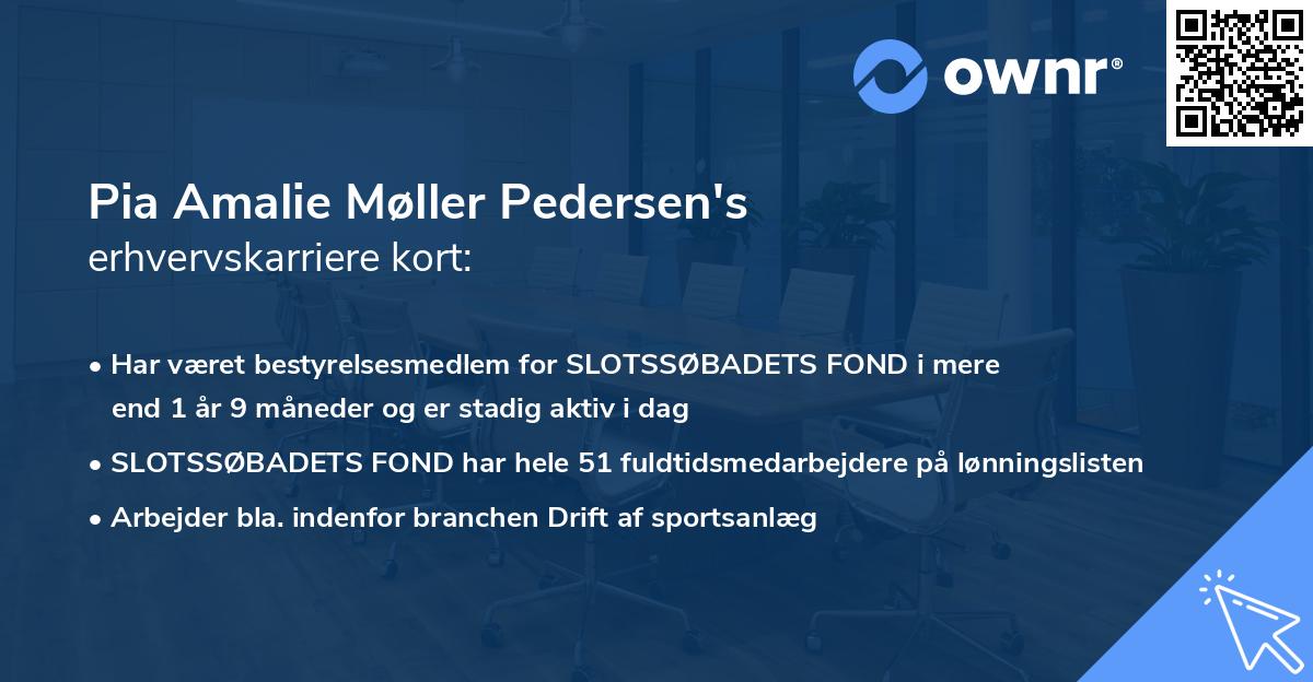 Pia Amalie Møller Pedersen's erhvervskarriere kort